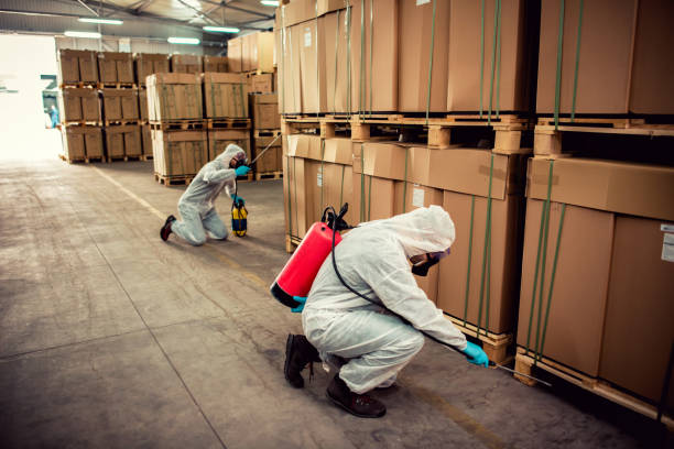 Pest Prevention Services in Thorndale, TX