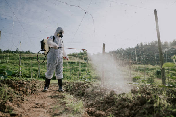 Professional Pest Control in Thorndale, TX