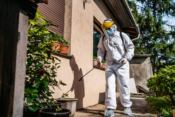 Bird Control in Thorndale, TX