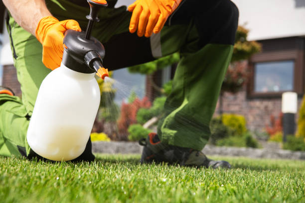 Best Pest Prevention Services  in Thorndale, TX