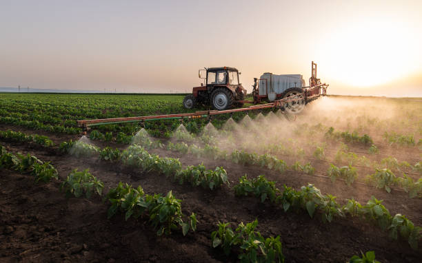 Best Mosquito Control Services  in Thorndale, TX