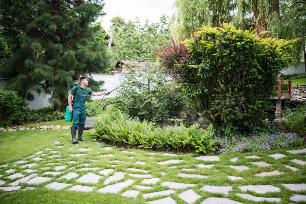 Best Pest Removal Services  in Thorndale, TX