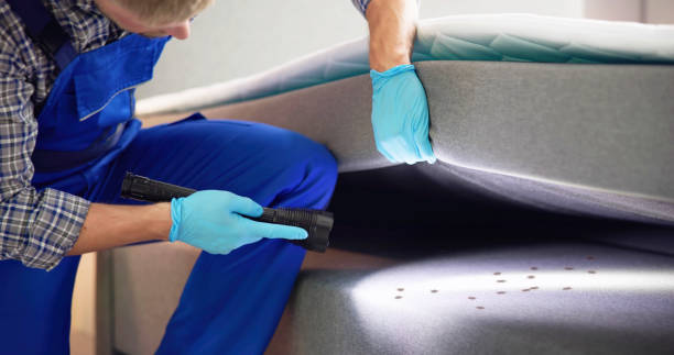 Best Termite Control Services  in Thorndale, TX