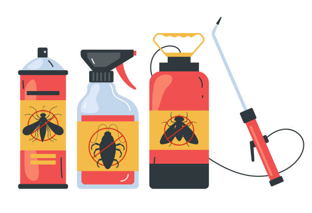 Best Wasp Removal Services  in Thorndale, TX
